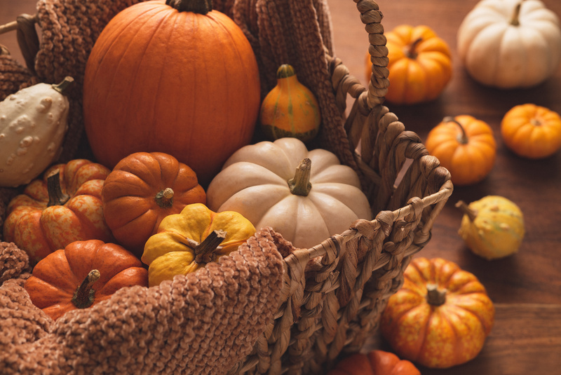 Basket of Autumn Pumpkins